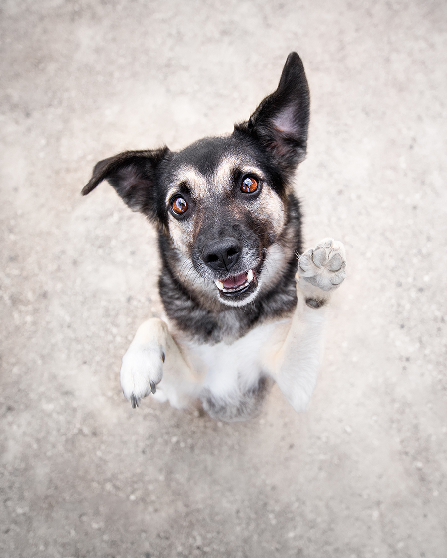 Marketing-Module-hello